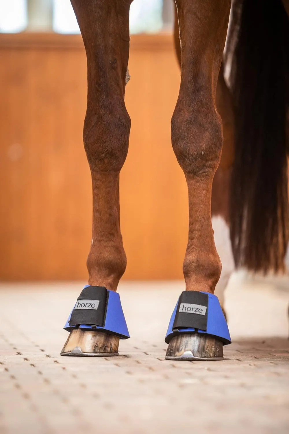 HORZE Pro Overreach Bell Boots for Horses | Neoprene Pair