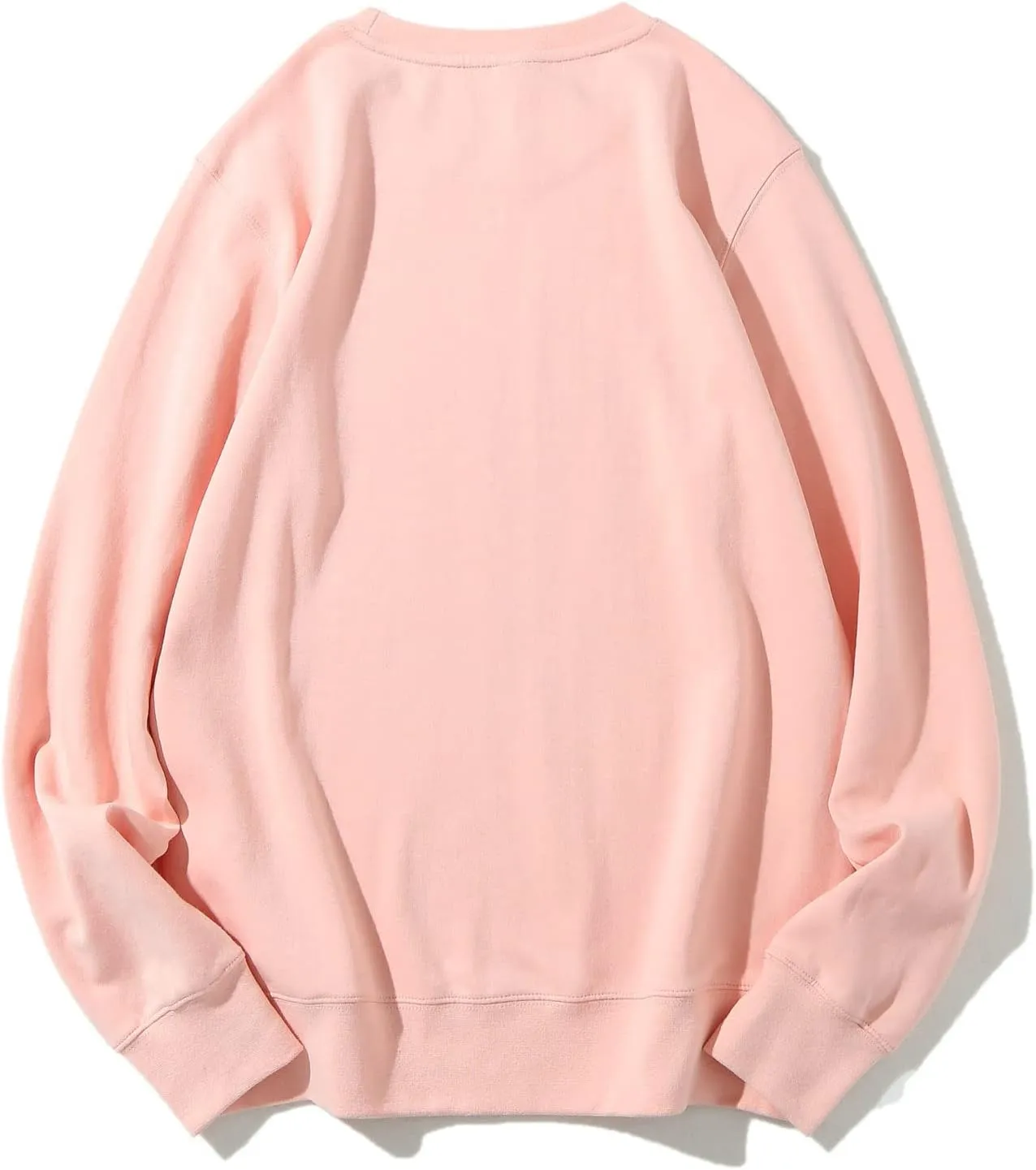 Womens Crewneck Funny Cute Silly Goose Sweatshirt Xmas Pullover Sweatshirt Christmas Sweater